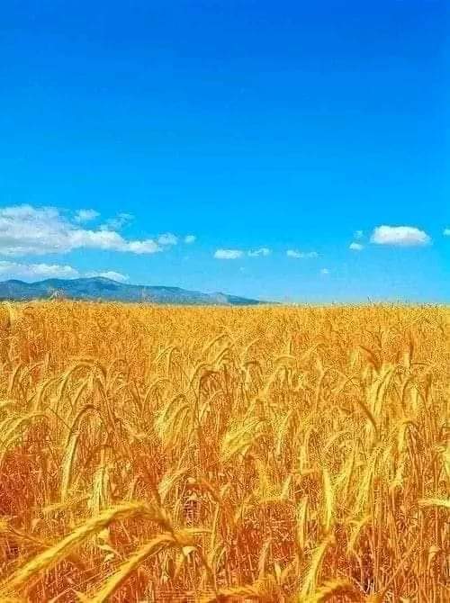 Изображение не загружено!