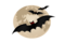 drugi